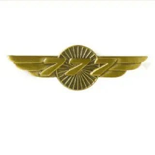 "Pin Your Passion for Planes with the BOEING 777 WINGS PIN!" 