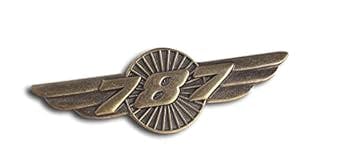 Soaring High with 787 Wings Pin: A Must-Have for Every Aviation Enthusiast!