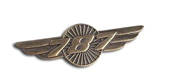 787 WINGS PIN