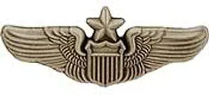 Fly High with the EagleEmblems P15442 Wing-USAF,Pilot,Senior (Mini) (1.25''