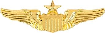 AUEAR, Metal Aviator Wings Pin Senior Pilot Wing Badge Gold