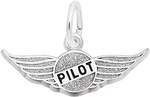 Pilot's Wings Charm: Fly High with This Fly Accessory!