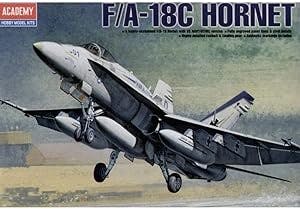 A Hornet That Will Make You Buzz: My Review of Academy ACA12411 Model Kit