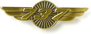Boeing 737 Wings Pin: Flying High with the Blue and Gold! 