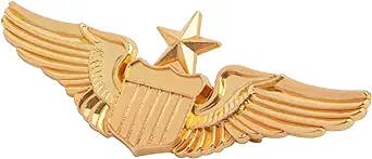 Framendino, Gold Wing Pilot Badge Metal Label Pin