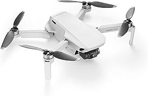 A Mini Drone That Packs a Punch: DJI Mavic Mini Review