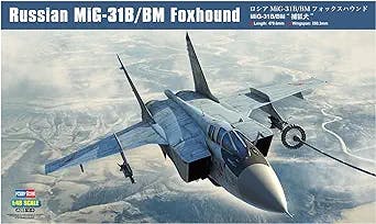 The Mig-31B/Bum Foxhound Kit: An Absolute Blast for Aviation Enthusiasts!